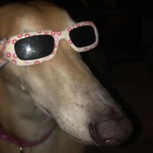 Meet your Posher, Ajia